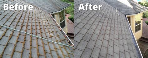 Tell Me Again: Why Is Roof Cleaning So Important? | Clearly Amazing