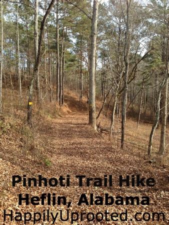 Pinhoti Trail Hike Heflin, Alabama – Jenn Loses It