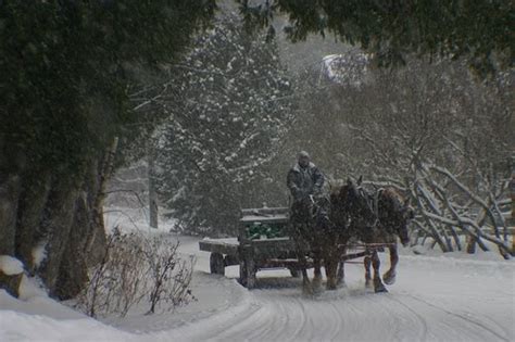 Mackinac Island Blog: Mackinac Island Winter Businesses & Events Listings