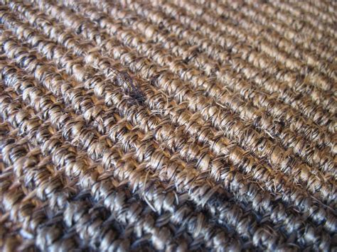 Sisal Rug | -Natural sisal fibers trimmed in tan cotton -By … | Flickr