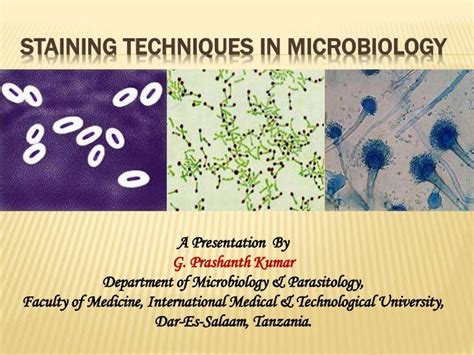 Staining Techniques in Microbiology