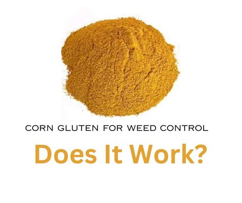 Using Corn Gluten for Weed Control - Does It Work? - Final Gardening