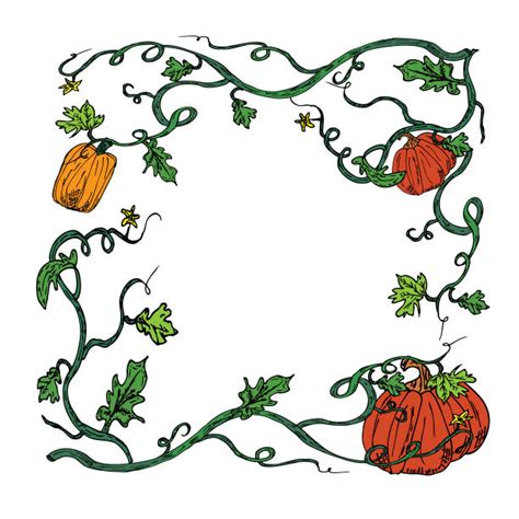 450+ Pumpkin Vine Drawing Stock Photos, Pictures & Royalty-Free Images - iStock