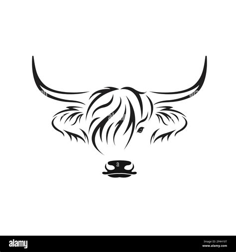 Vector of highland cow head design on white background. Farm Animal. Cows logos or icons. Easy ...