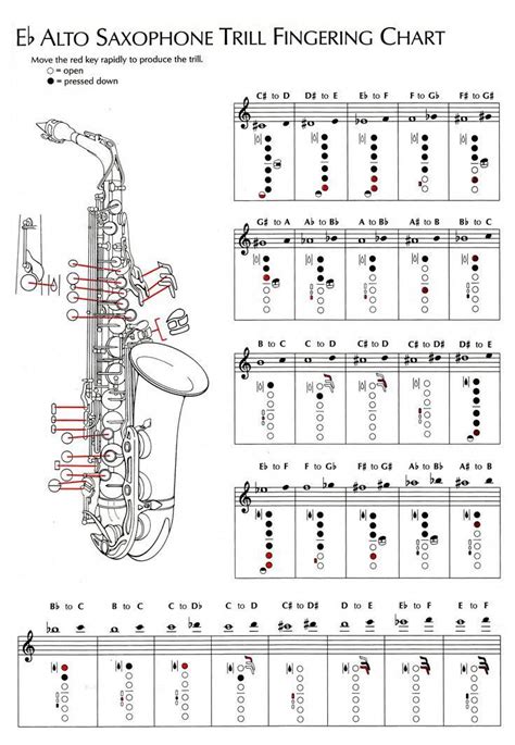 How To Read Piano Sheet Music. | Saxophone music, Saxophone sheet music, Alto sax sheet music