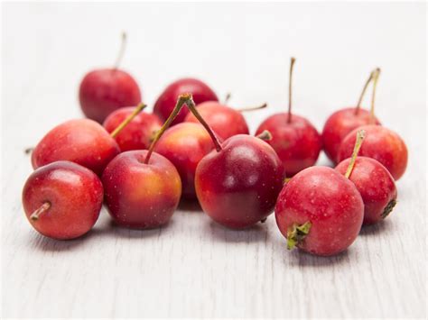 5 Unique Apple Varieties for Your Fall Garden