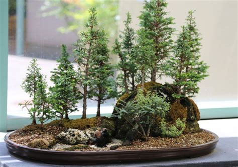 Pin on GARDENING : BONSAI FOREST / 盆栽 / SAIKEI / 盆景森林 / 盆栽林