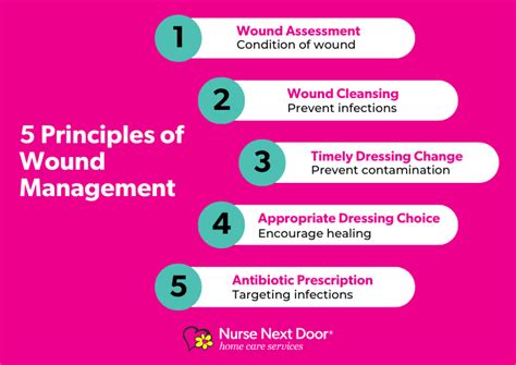 7 Steps To Effective Wound Care Management – NBKomputer