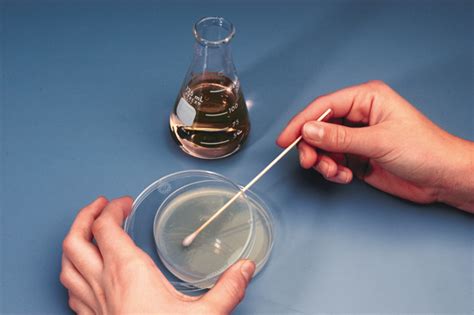 NS20-3553 Bacterial Contamination of Water