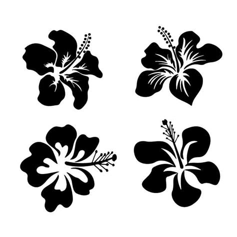 Hibiscus flower SVG & PNG | Free SVG Download