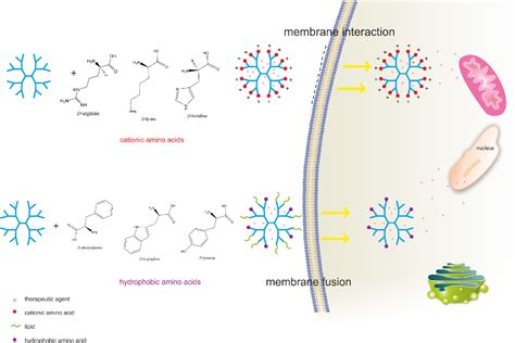 Reticuloendothelial System | Semantic Scholar