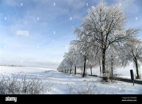 Country road with snowy trees Stock Photo - Alamy