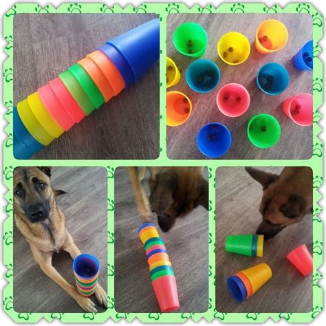 Spellen | Denkspellenvoorjehond.jouwweb.nl | Diy dog toys, Toy puppies ...