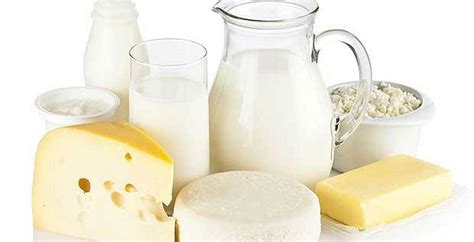 Dairy Foods Vocabulary | Learn English