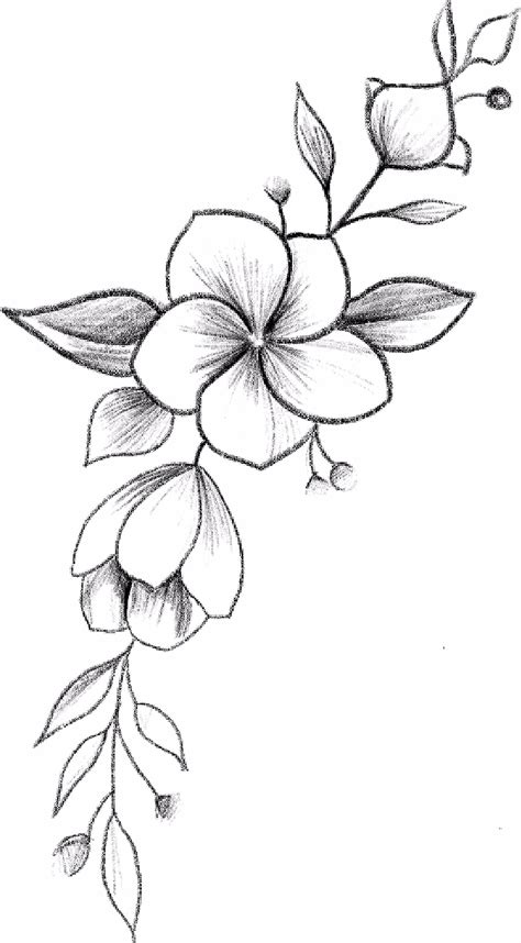 Pin on 2 flower | Flower art drawing, Flower sketches, Pencil drawings of flowers