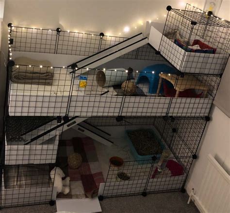 Gallery c c guinea pig cages mesh and grid cages for pets – Artofit