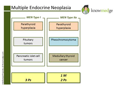 Multiple Endocrine Neoplasia Type 1 And 2 Chart 2023 - Multiplication Chart Printable