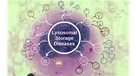 Lysosomal Storage Diseases by Jade Hughes on Prezi