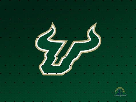 USF Wallpapers - Wallpaper Cave