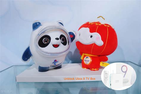 The mascots of the Beijing 2022 Winter Olympics and Paralympics are ...