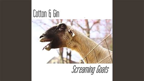 Screaming Goats - YouTube