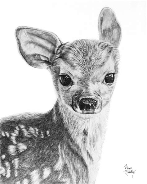 Creature Creations — Ashley Benedict | Dieren tekenen, Herten tekening ...