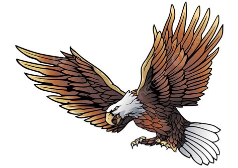 Flying Bald Eagle Drawing Usa Art Vector, Drawing, Usa, Art PNG and Vector with Transparent ...
