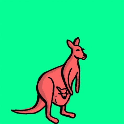 Kangaroo Hopping GIFs | Tenor