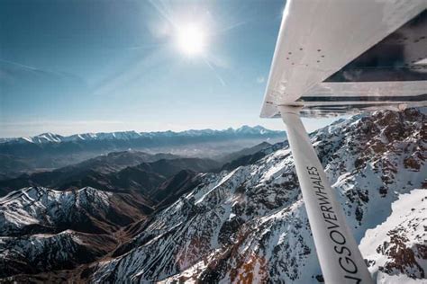 Kaikoura: Extended Flight Whale Watching & Mountain tour | GetYourGuide