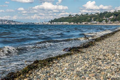 Alki Beach: The Complete Guide