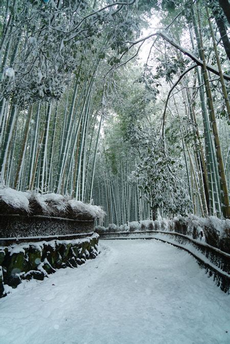 Arashiyama Travel Guide: What To Do And Eat in Arashiyama, Japan