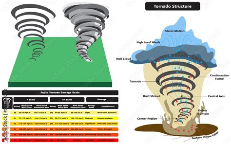 Tornado vector drawing scale and structure infographic diagram parts ...