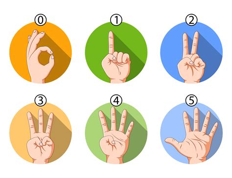 The number hand sign with the different color 7578931 Vector Art at Vecteezy