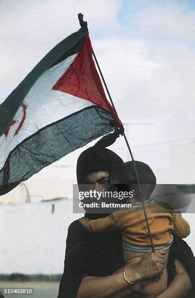 Polisario Photos and Premium High Res Pictures - Getty Images