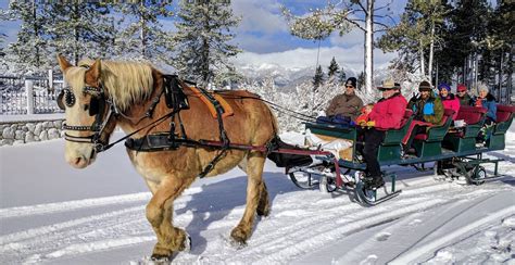 Sleigh RIdes at Sand Harbor State Park — Borges Sleigh and Carriage Rides