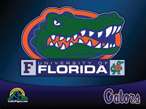 🔥 [150+] Florida Gators Wallpapers HD | WallpaperSafari