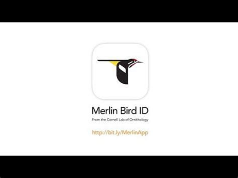 Merlin Bird ID by Cornell Lab of Ornithology - Apps on Google Play