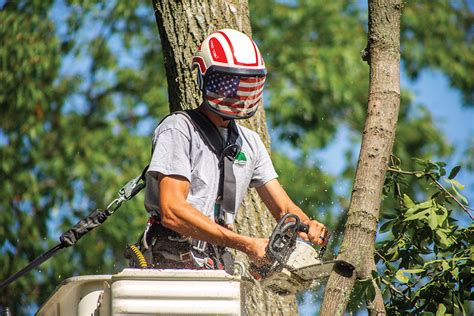 Tree Worker Safety Update By the Numbers: Another Us vs. Them - Tree ...