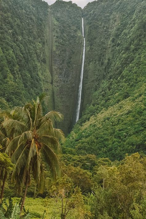 12 Best Hikes in Hawaii To Experience - Hand Luggage Only - Travel ...