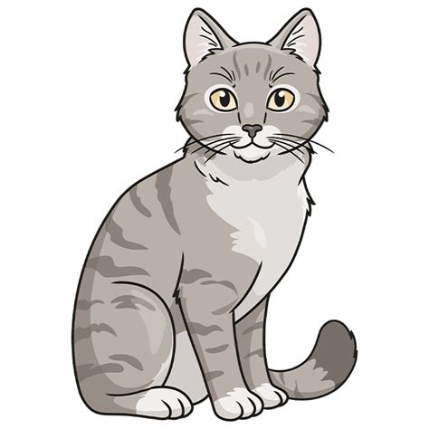 Easy Cartoon Drawings, Cartoon Cat, Easy Drawings, Animal Drawings, Realistic Cat Drawing, Cat ...