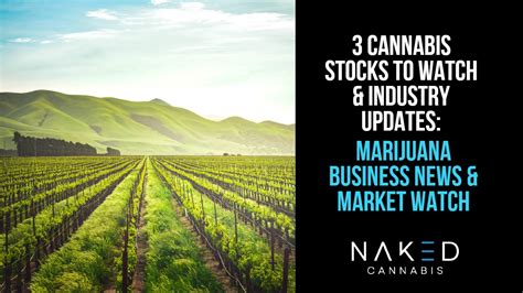 3 Cannabis Stocks to Watch and Other Marijuana Business News