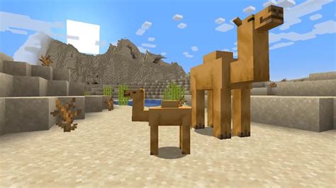 Minecraft Camels: Everything You Need to Know | Beebom