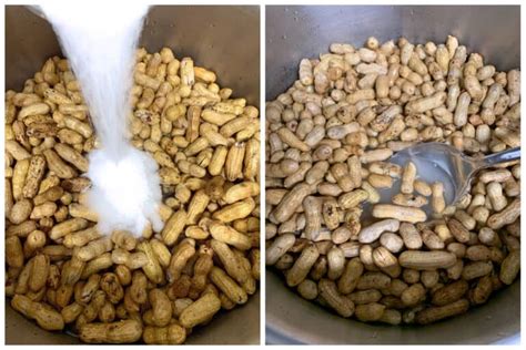 Boiled Peanuts - The Daring Gourmet