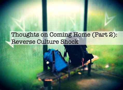 Quotes about Culture Shock (29 quotes)