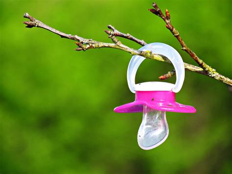 The Binky on the Branch. An Ode to the Pacifier Called… | by Jenine "Jeni" Baines | Queen’s ...