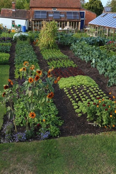 Clique na IMAGEM para aprender passo a passo como plantar e cultivar ...