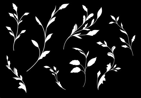 Flourish shapes - Free Downloads and Add-ons for Photoshop