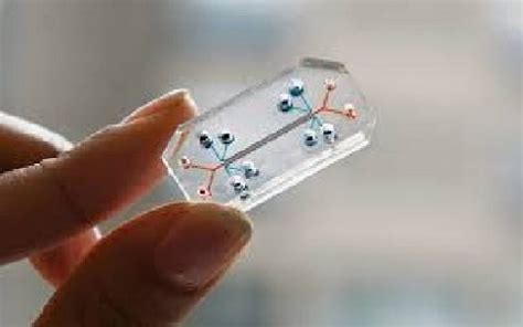 Nanosensor : Types, Fabrication, Interfacing & Its Applications