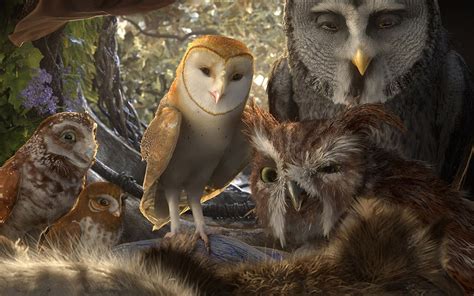 Legend of the Guardians-The Owls of GaHoole movie wallpaper-1280x800 ...