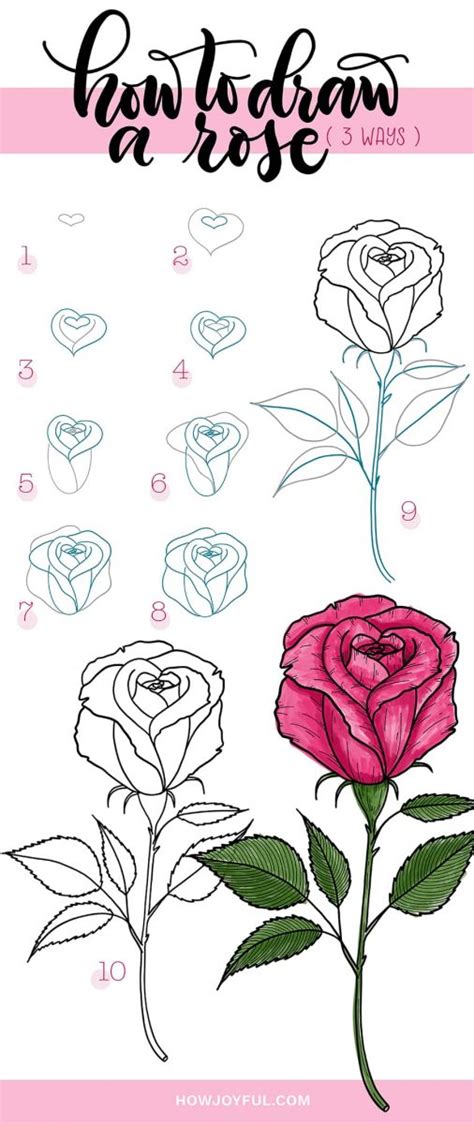 Drawings of roses: How to draw a rose - Step by step tutorial (3 ways)